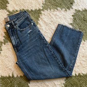 Everlane Way-High Jean — Size 25, Folsom Blue Wash